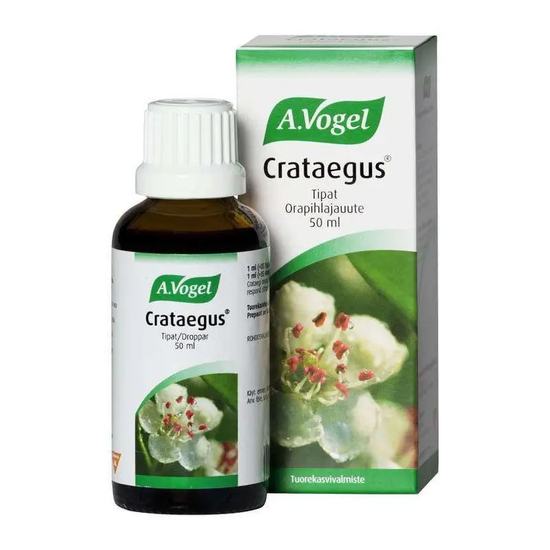 A.Vogel Crataegus