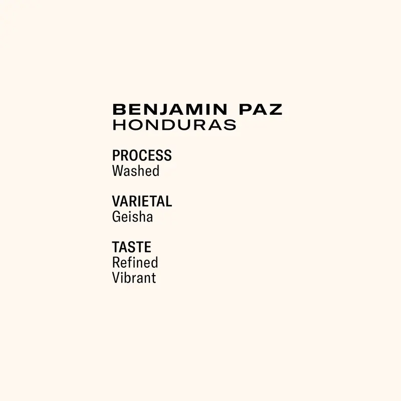 Benjamin Paz La Salsa