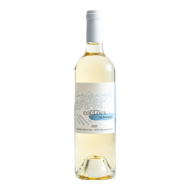 Chateau Haut-Rian Les Vignes De Coulous 2022