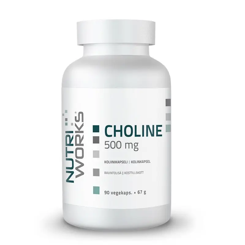 Choline 500mg 90kps.