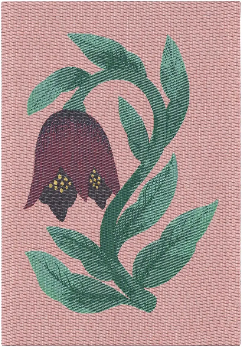 Ekelund Nattklocka pyyhe luomupuuvillaa 35*50cm