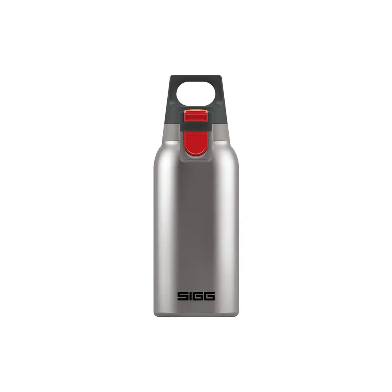 H&C ONE Brushed 0,3 L