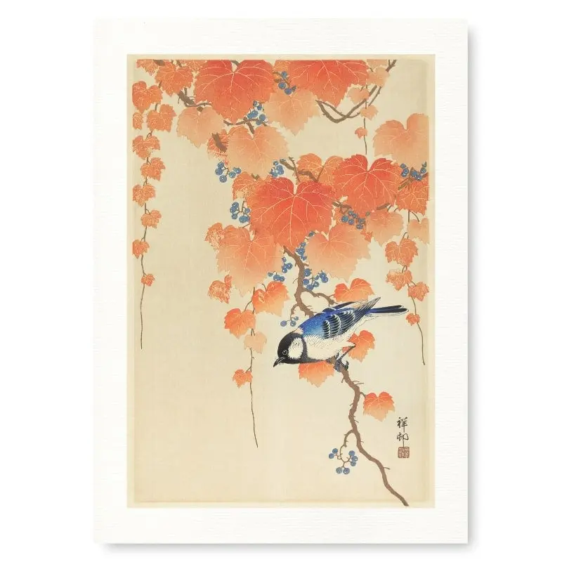 Japanilainen kanahaukka printti