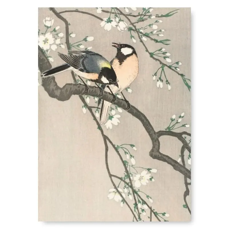 Japanilainen kirsikkapuun oksa