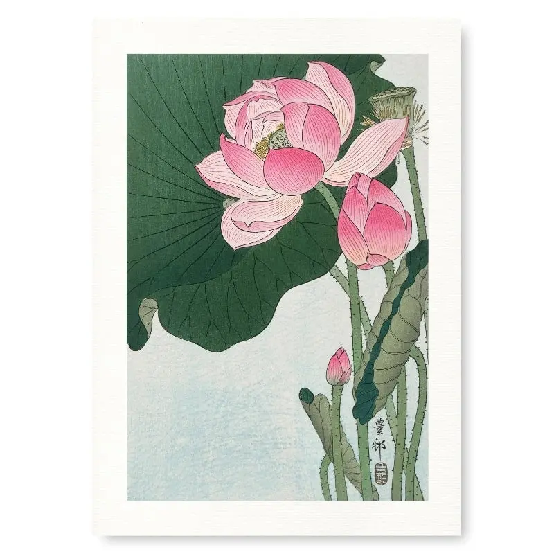Japanilainen Lotus kukka tulosta
