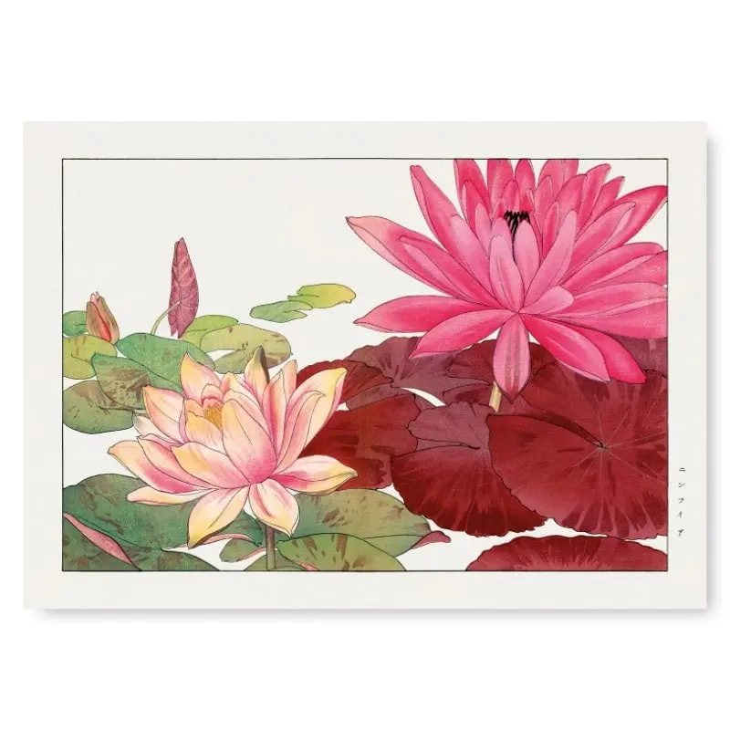 Japanilainen tuloste Nymphaea Lotus