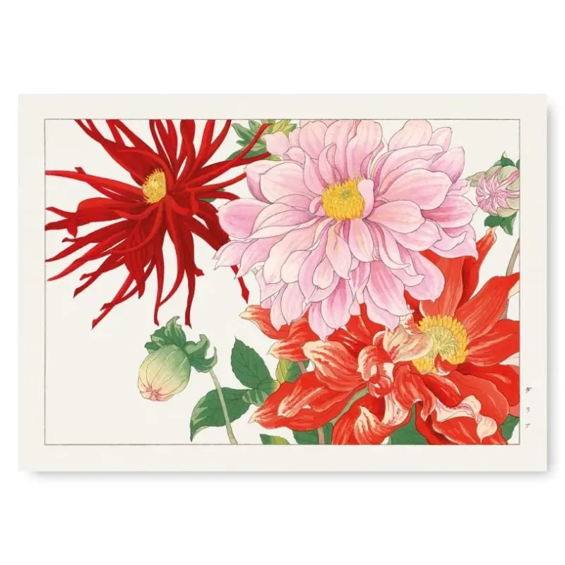 Japanilainen tulostus Dahlia kukka