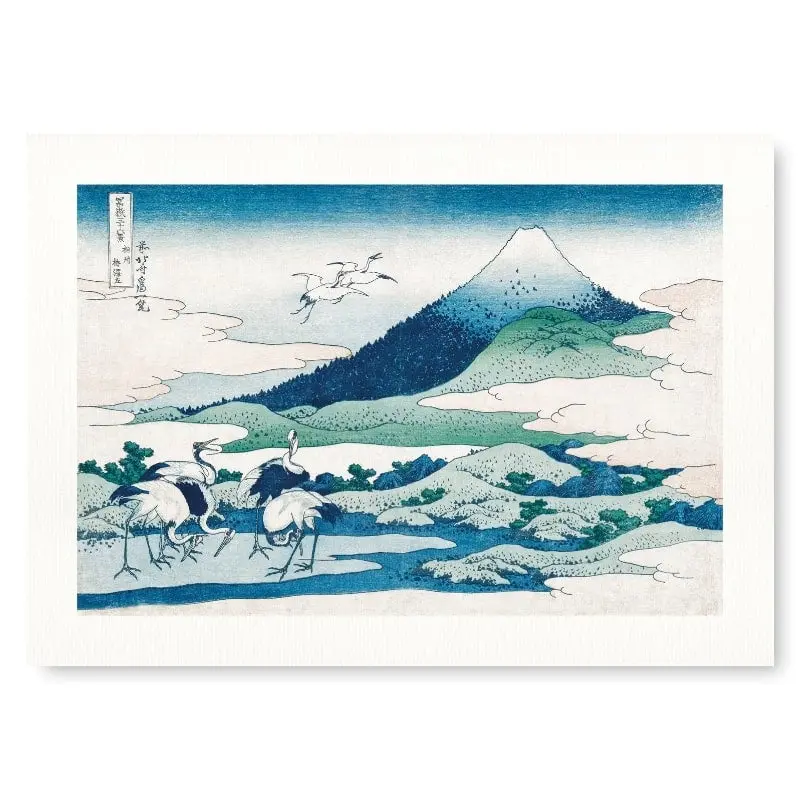 Japanilainen Umezawa-painatus