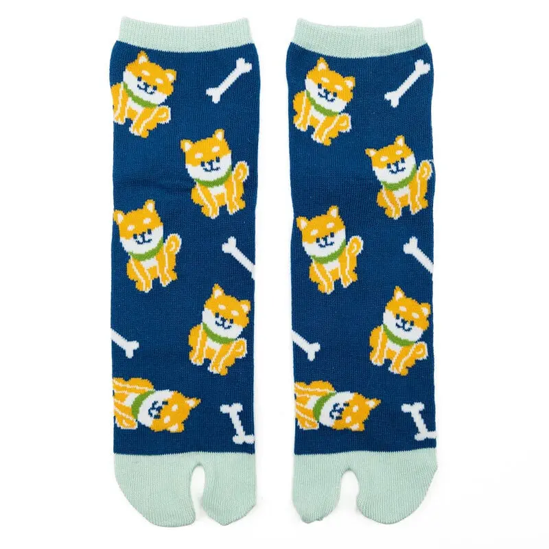 Japanilaiset Shiba-sukat