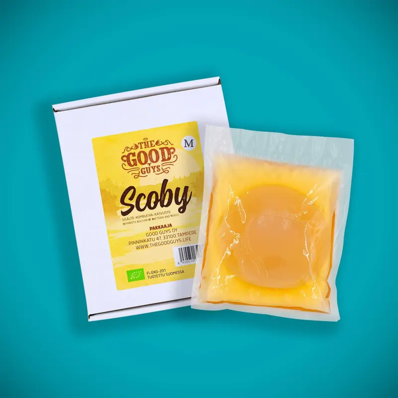 Kombucha-sieni, eli scoby, eli Volgansieni