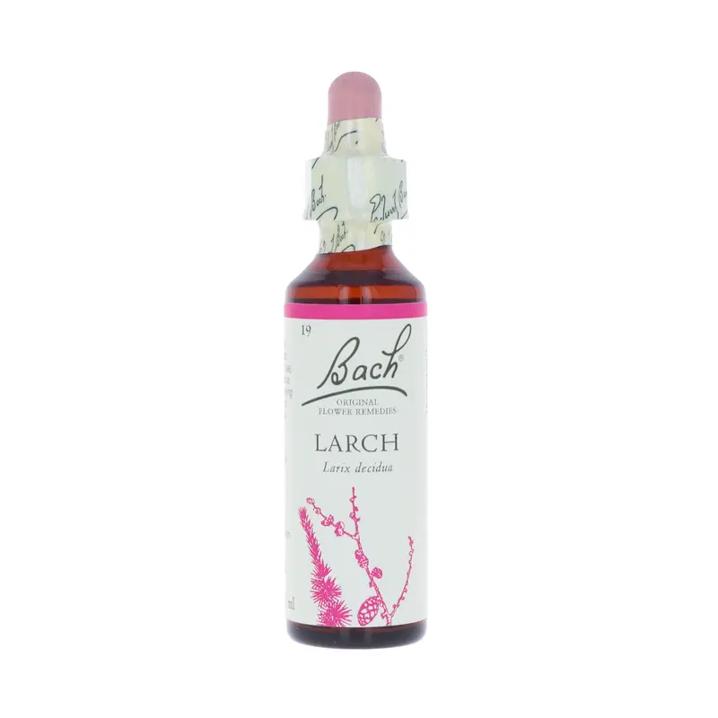 Larch-kukkatipat (Lehtikuusi) No 19, 20 ml