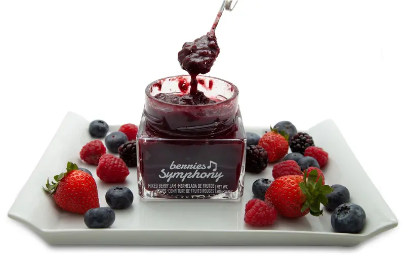 Lorusso Berries Symphony Marjasekoitushillo