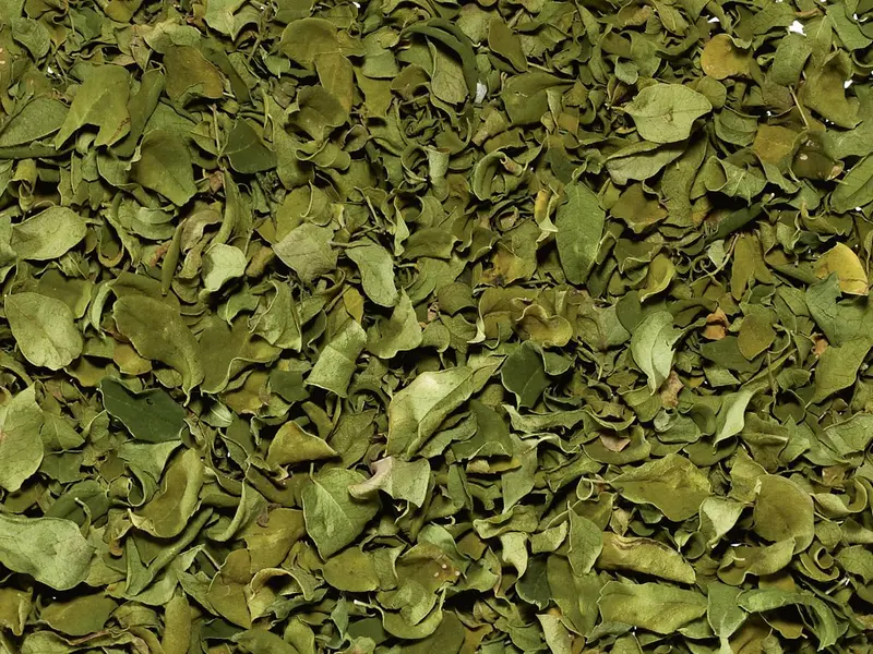 Luomu Moringa lehdet, Sri Lanka – yrttijuoma, kofeiiniton irtotee