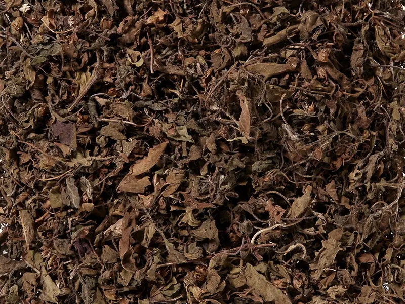 Luomu tulsi yrtti, India – yrttijuoma, kofeiiniton irtotee