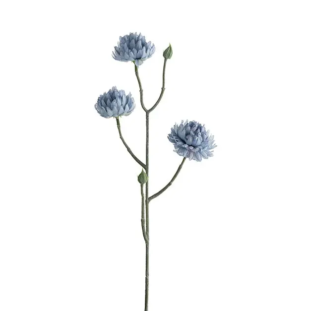 Mr Plant ikikukka 50cm
