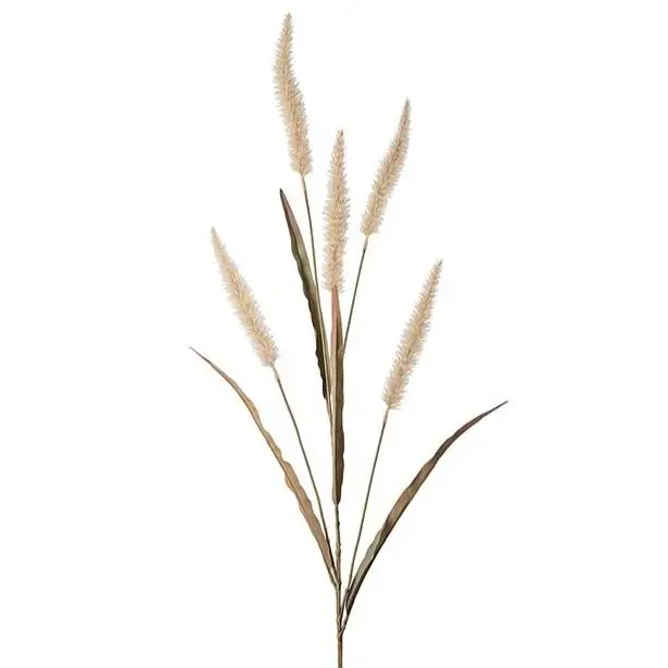Mr Plant sulkaheinä 130cm