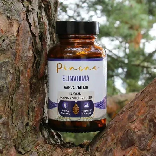 Pinena® Elinvoima + Panax Ginseng, Primavie Shilajit, Vahva 250 mg kapseli, 45 kapselia