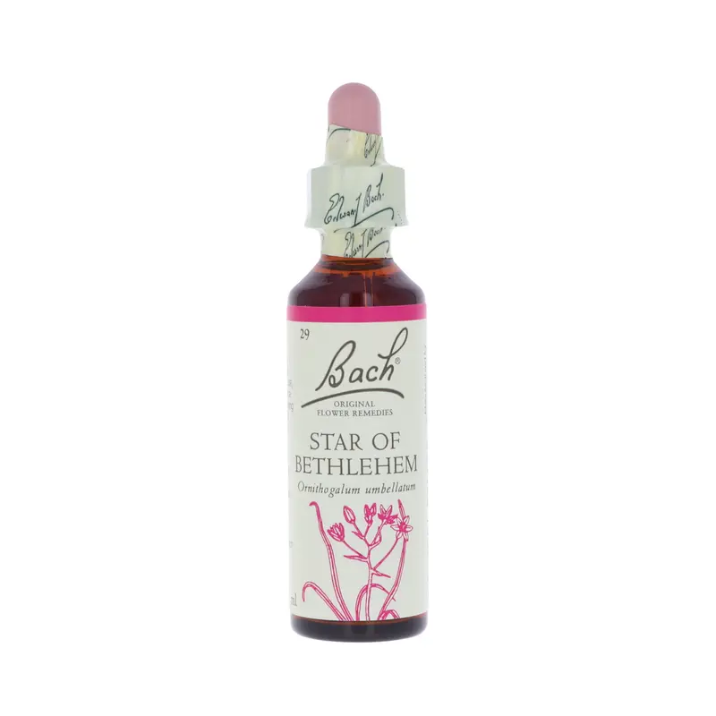 Star of Betlehem -kukkatipat (Sarjatähdikki) No 29, 20 ml