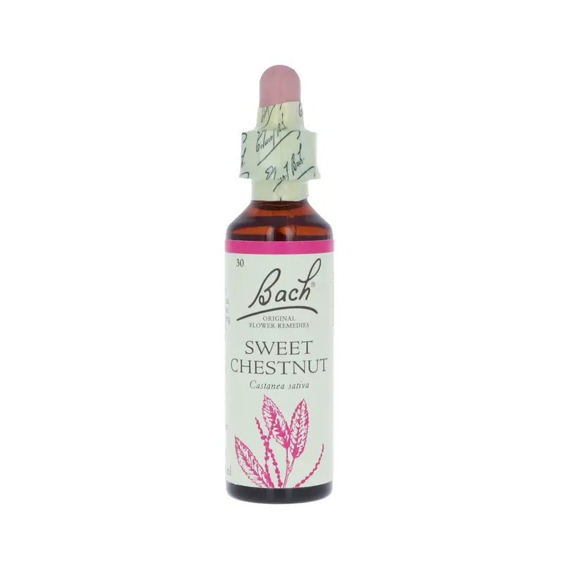 Sweet Chestnut -kukkatipat (Jalokastanja) No 30, 20 ml