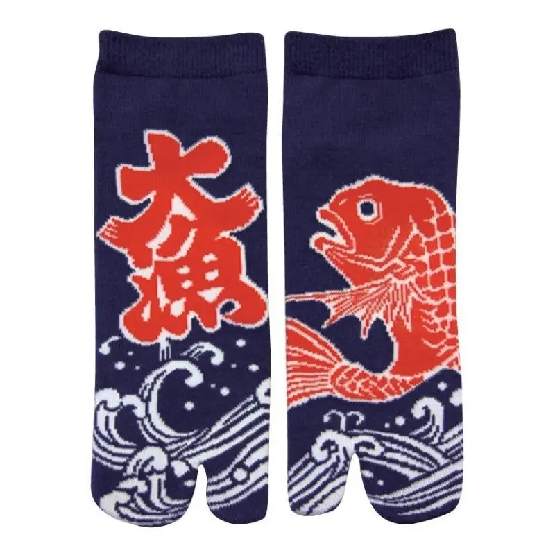 Tabi Carp Koi sukat