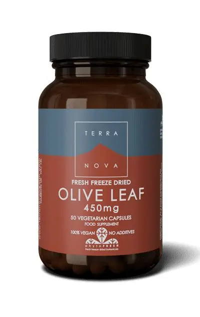 Terranova Oliivinlehti 450 mg