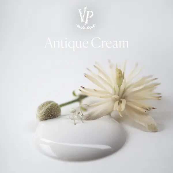 Vintage Paint Antique Cream 100ml