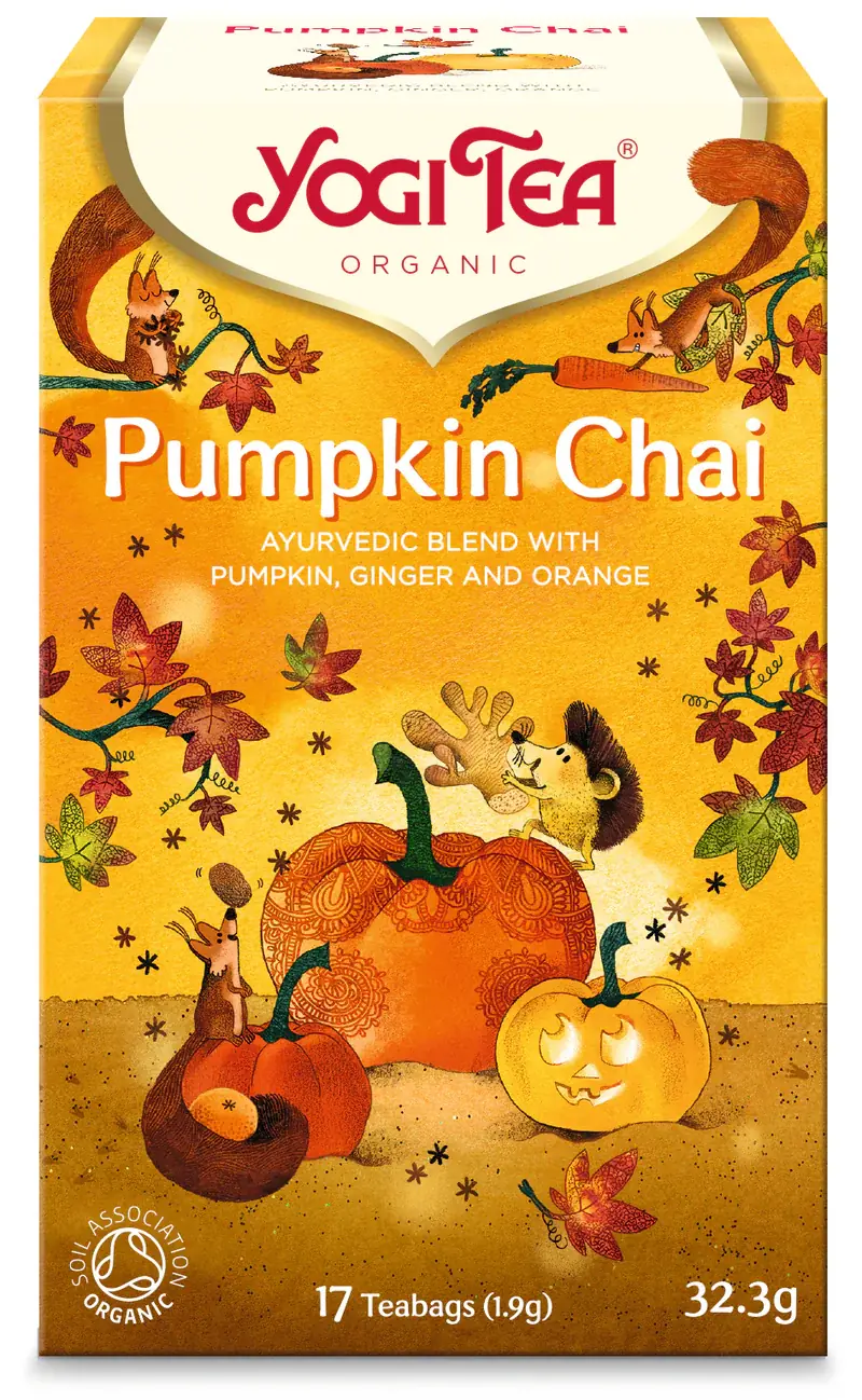 YogiTea Luomu Pumpkin Chai